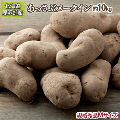 記事番号:33287/アイテムID:360362の画像