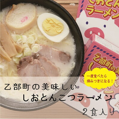 北海道乙部町 【ふるさと納税】 やみつきスープにファン急増!乙部町の美味しいしおとんこつラーメン4箱(8食分)セット 北海道 乙部町 乙部 ラーメン トンコツラーメン とんこつ しおトンコツ 豚骨ラーメン 生麺 ご当地ラーメン 人気店 監修 生ラーメン お土産ラーメン