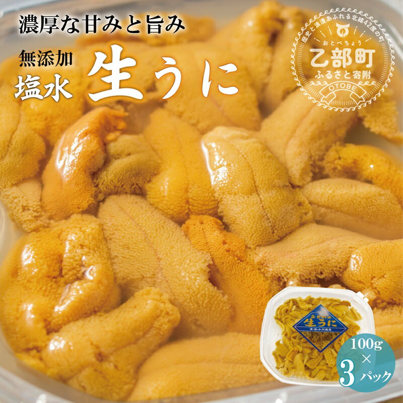 【ふるさと納税】＜小川の塩水ウニ　100g×3パック＞ミョウバン不使用！工場直送 新鮮 生うに 雲丹 無...