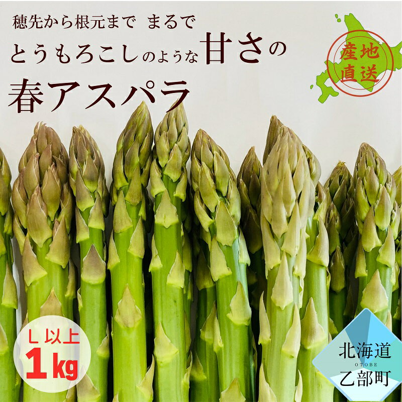 【ふるさと納税】＜北海道産 春採れグリーンアスパラ　1kg＞ 4月中旬発送予定 北海道 乙部町 産 春 採...