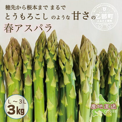 ＜北海道産 春採れグリーンアスパラ　3kg＞ 4月中旬発送予定 北海道 乙部町 産 春 採れたて グリーンアスパラ 3kg 旬 北海道産 アスパラ 春の味覚 旬の野菜 旬の食材 旬の味覚 アスパラガス 春芽 北海道野菜 直送 野菜