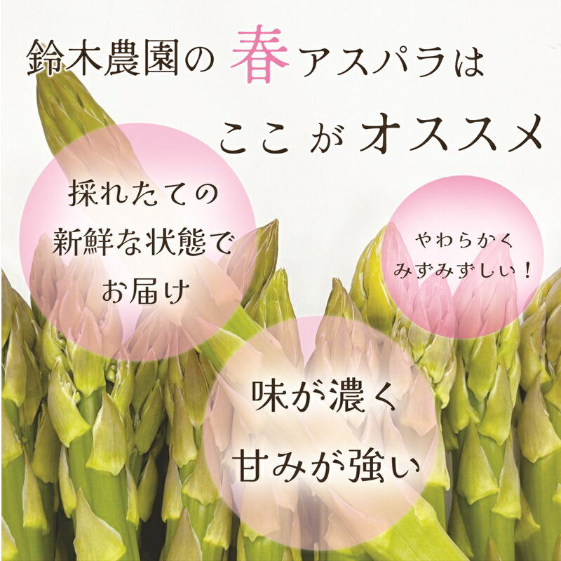 【ふるさと納税】＜北海道産 春採れグリーンアスパラ　2kg＞ 4月中旬発送予定 北海道 乙部町 産 春 採れたて グリーンアスパラ 2kg 旬 北海道産 アスパラ 春の味覚 旬の野菜 旬の食材 旬の味覚 アスパラガス 春芽 北海道野菜 直送 野菜