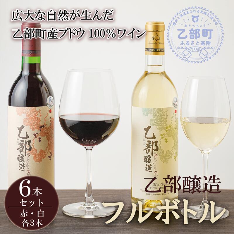 【ふるさと納税】 ＜乙部醸造ワイン　赤・白6本セット＞北海道産　各720ml×3本 富岡ワイナリー 赤ワイ...