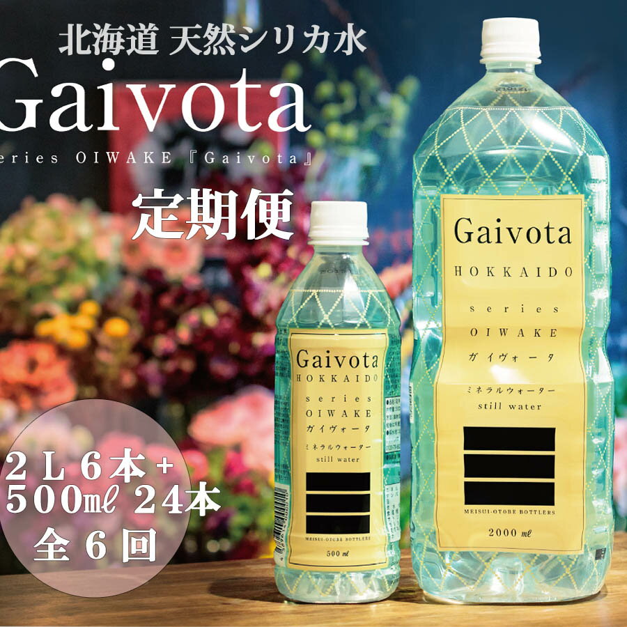 【ふるさと納税】 ＜定期便　Gaivota2箱（500ml×24本＋2L×6本）×6回分＞　北のハイグレード食品　北海..