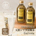 【ふるさと納税】<Gaivota炭酸水 1箱(300ml×12本/箱)> 北のハイグレード食品 天然シリカ 炭酸水 北海道 乙部町 ミネラルウォーター 水 炭酸...