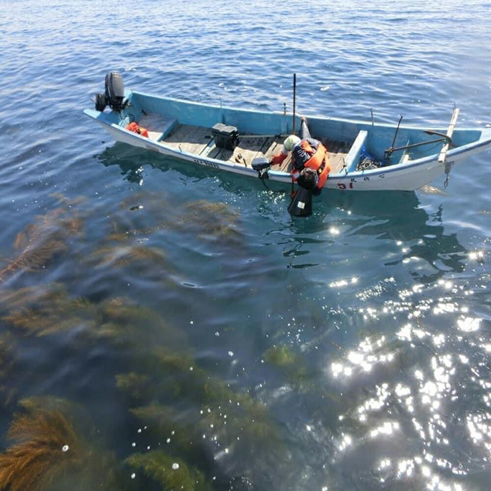 北海道乙部町の画像3