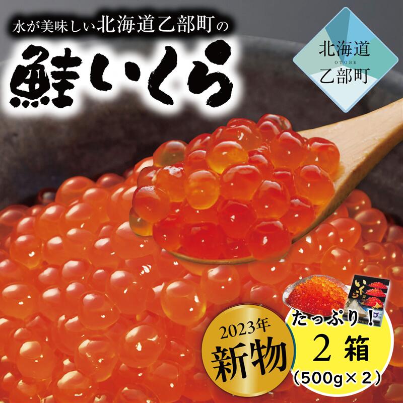 【ふるさと納税】2023年新鮮獲れたて＜大容量　北海道産　笹谷商店　いくら　2パック（500g×2）＞絶品の醤油タレで漬けたいくら　北海道 いくら 鮭いくら 秋鮭 完熟卵 魚卵 魚介 海鮮 人気 国産 醤油漬 北海道産 大容量 1kg