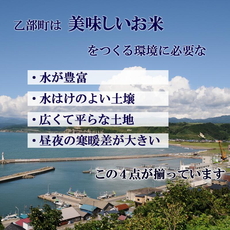 【ふるさと納税】＜北海道の米（10kg）～ふっくらつややか！若い農家が作る新米＞　10kg　北海道　乙部町　甘い　米　新米　おにぎり　北海道産　お米