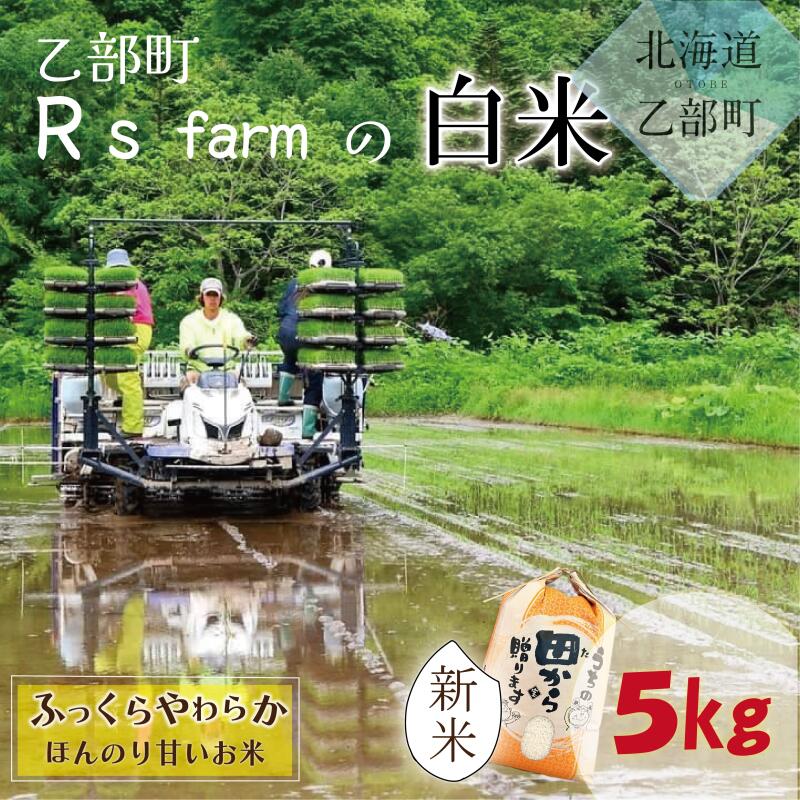 [北海道の米(5kg)〜ふっくらつややか!若い農家が作る新米] 5kg 北海道 乙部町 甘い 米 新米 おにぎり 北海道産 お米