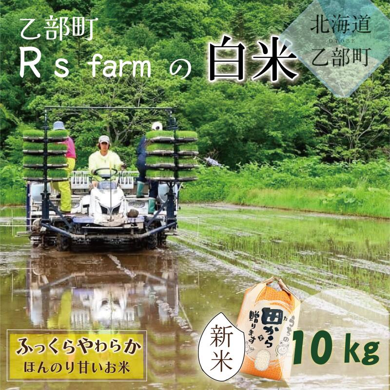 【ふるさと納税】＜北海道の米（10kg）～ふっくらつややか！若い農家が作る新米＞　10kg　北海道　乙部町　甘い　米　新米　おにぎり　北海道産　お米