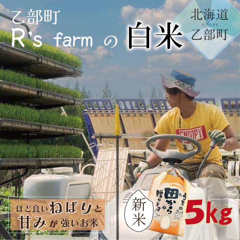 【ふるさと納税】＜北海道の米（5kg）～もっちり柔らか！若い