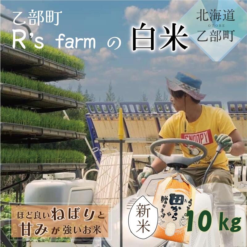 19位! 口コミ数「0件」評価「0」＜北海道の米（10kg）～もっちり柔らか！若い農家が作る新米＞　10kg　北海道　乙部町　甘い　米　新米　もちもち　北海道産　お米