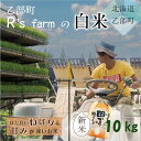 【ふるさと納税】＜北海道の米（10kg）～もっちり柔らか！若い農家が作る新米＞　10kg　北海道　乙部町　甘い　米　新米　もちもち　北..