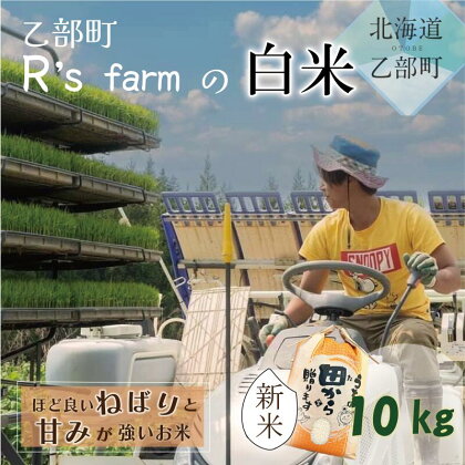 ＜北海道の米（10kg）～もっちり柔らか！若い農家が作る新米＞　10kg　北海道　乙部町　甘い　米　新米　もちもち　北海道産　お米