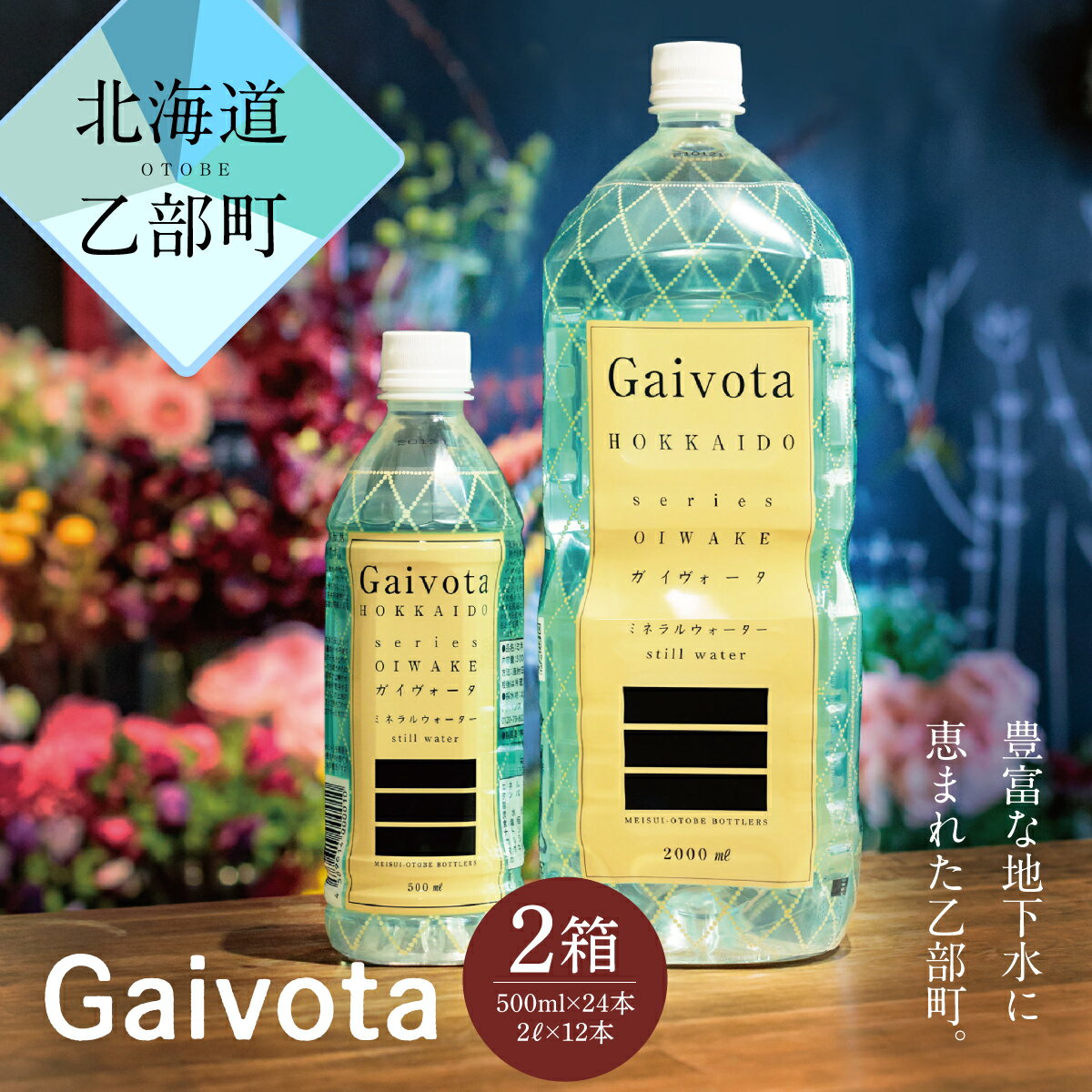 【ふるさと納税】＜Gaivota　1箱（500ml×24本/