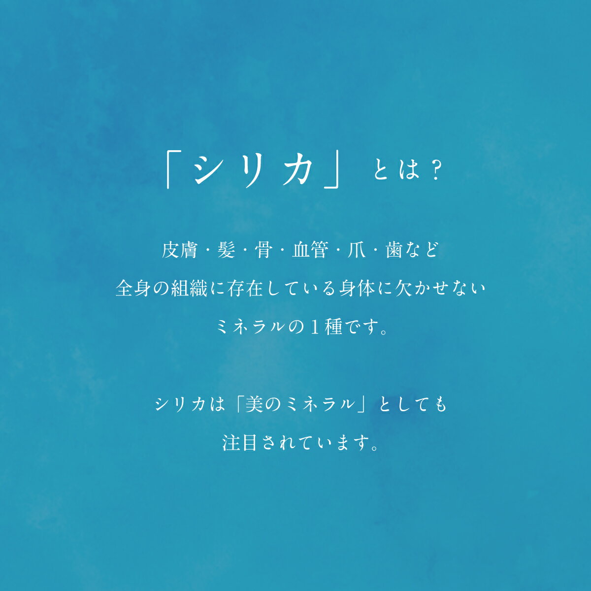 【ふるさと納税】＜Gaivota　2箱（2L×6本/箱）＞北のハイグレード食品　北海道乙部町の天然シリカ水 ミネラルウォーター 軟水 北海道産 北海道 乙部町 天然水 美容 ケイ素 無添加 シリカ ガイヴォータ 美肌 ミネラル コーヒー にぴったり 口当たり まろやか 水 3