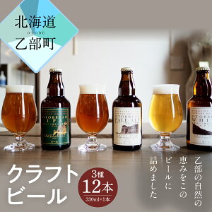 【ふるさと納税】 クラフトビール 『OTOBEEAN-オトビアン』 330ml 12本セット （3種...