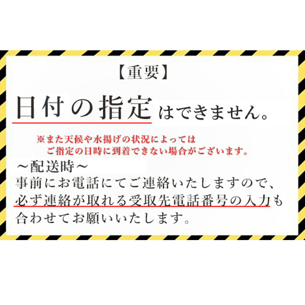 【ふるさと納税】＜シマエビ（冷蔵）　1kg＞北海道乙部町産　産地直送　北海道産 エビ えび 獲れたて 海老 海産物 海鮮 刺身 海鮮丼 お刺身