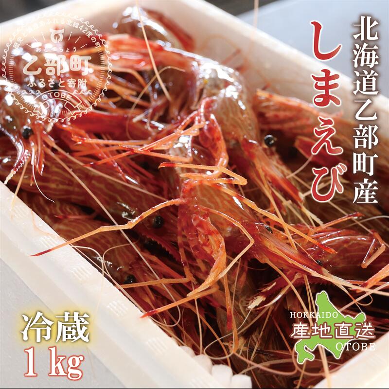 【ふるさと納税】＜シマエビ（冷蔵）　1kg＞北海道乙部町産　産地直送　北海道産 エビ えび 獲れたて 海老 海産物 海鮮 刺身 海鮮丼 お刺身