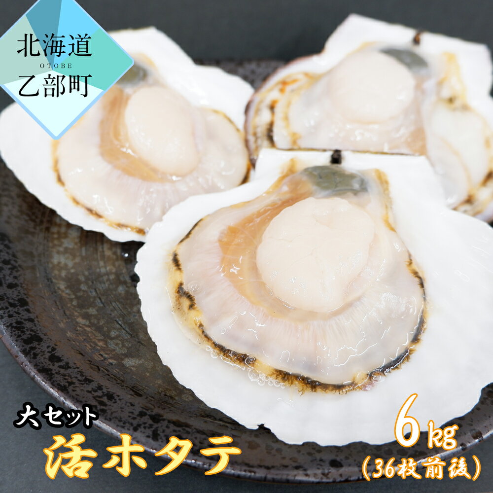 【ふるさと納税】＜活ホタテ　大セット（6kg　36枚前後）＞北海道産　町中漁業部より直送！ 　ホタテ刺し　刺身のサムネイル