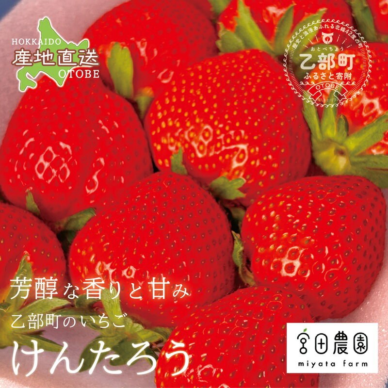 【ふるさと納税】＜けんたろういちご　2パック＞宮田農園 北海道 乙部町 いちご 国産いちご イチゴ 人...