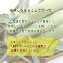 北海道乙部町の画像2