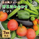 【ふるさと納税】<丘の風ファーム 旬野菜詰め合わせセット>