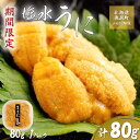 【ふるさと納税】【令和7年発送先行予約】塩水うに 80g×1パック 【 ふるさと納税 人気 おすすめ ランキング うに ウニ 海栗 雲丹 塩水うに 塩水ウニ 塩...