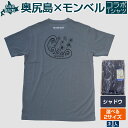 【ふるさと納税】奥尻モンベルTシャツ(シャドウ)サイズ(S・L) 【ふるさと納税 人気 おすすめ ランキング シャツ 服 衣類 夏服 春服 ロゴ Tシャツ 北海道 奥尻町 送料無料】 OKUA007