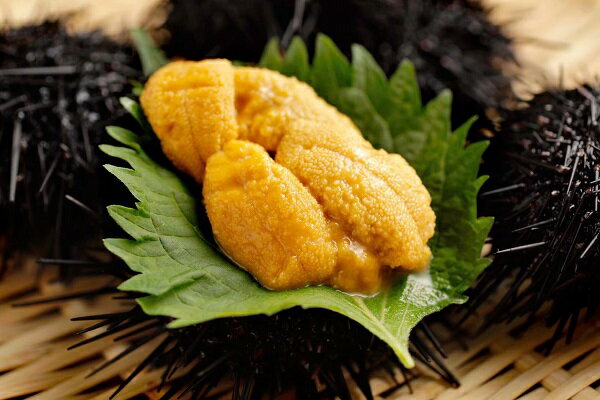 【ふるさと納税】奥尻産「塩水うに」80g 2パック入り【発送日：7月18日～8月5日まで】