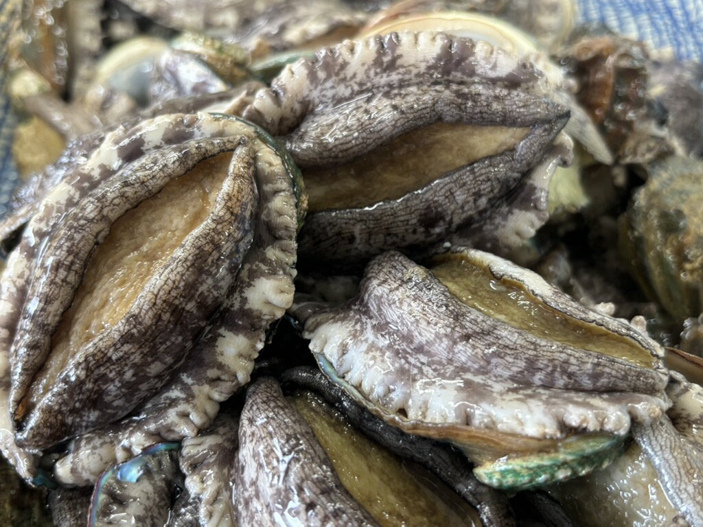 北海道奥尻町の画像2