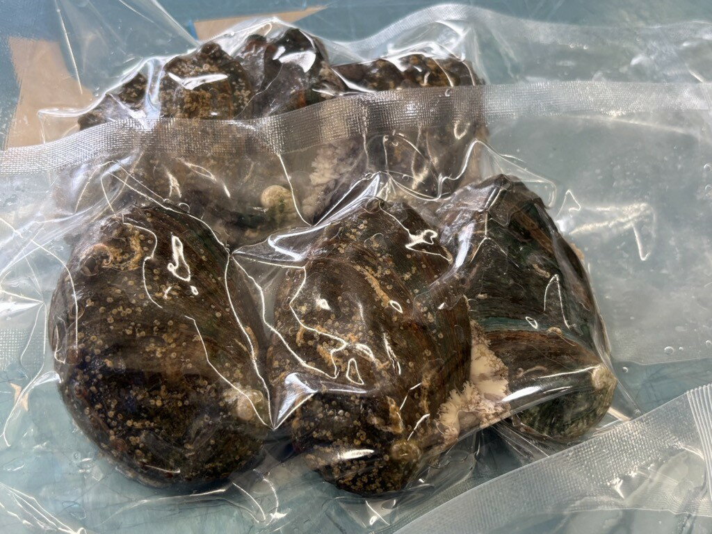 北海道奥尻町の画像3