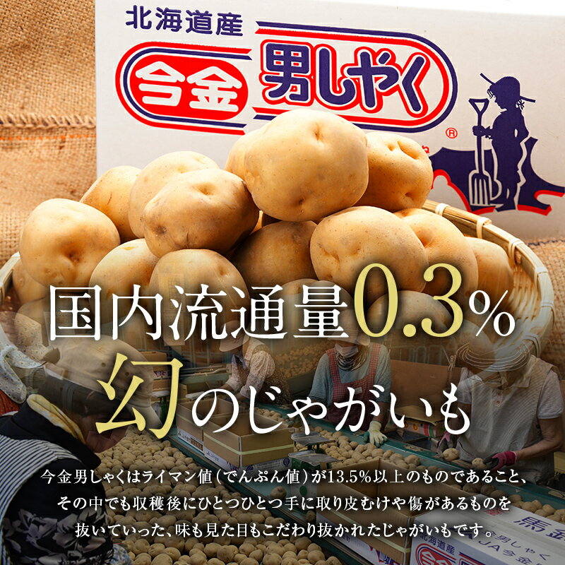 【ふるさと納税】【先行予約】今金男しゃく（LMサイズ）約10kg【GI認証取得】（2024年10月発送） F21W-286