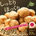 29位! 口コミ数「0件」評価「0」【先行予約】今金男しゃく（LMサイズ）約10kg【GI認証取得】（2024年10月発送） F21W-286