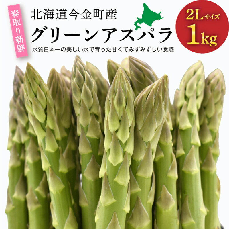 [先行予約]北海道今金町産 春取り新鮮グリーンアスパラ2Lサイズ1kg(2024年4月上旬〜5月上旬発送) 新鮮 野菜 アスパラ アスパラガス グリーンアスパラ 北海道 2L F21W-169