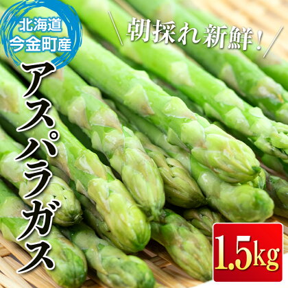 【先行予約】朝採れ新鮮アスパラ 1.5kg Mサイズ 野菜 秀品 北海道産 バーベキュー BBQ キャンプ 旬野菜 アスパラガス 栄養満点 冷蔵発送 F21W-120