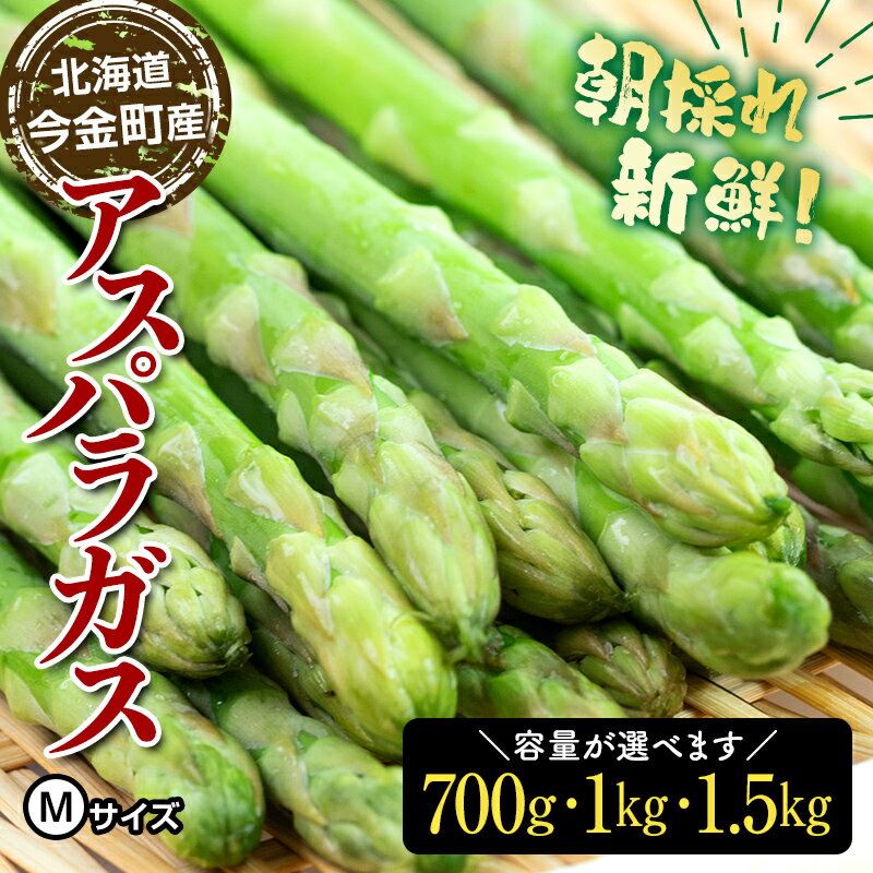 【選べる容量】 朝採れ新鮮アスパラ Mサイズ 野菜 秀品 北海道産 バーベキュー BBQ キャンプ 旬野菜 アスパラガス 栄養満点 冷蔵発送 F21W-122var