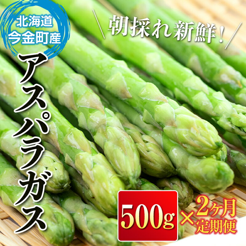 【ふるさと納税】【定期便】朝採れ！新鮮アスパラガス500g（2ヶ月連続お届け） 野菜 F21W-124