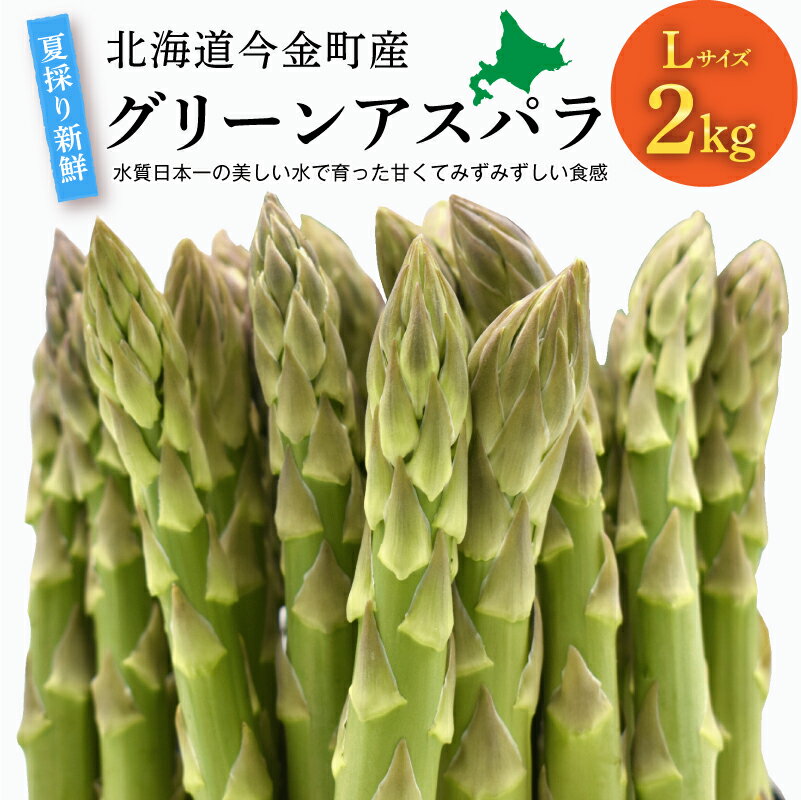 【ふるさと納税】北海道今金町産　春取り新鮮グリーンアスパラLサイズ2kg（2023年4月上旬～5月上旬発送） 新鮮 野菜 アスパラ アスパラガス グリーンアスパラ 北海道 F21W-132のサムネイル