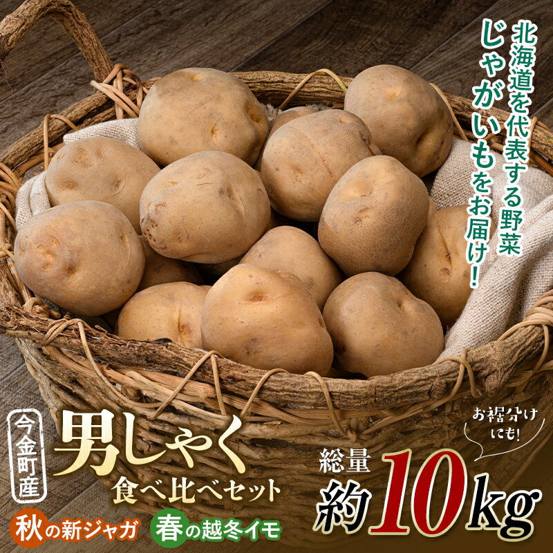 【ふるさと納税】【定期便】北海道今金町産男爵いも【秋の新ジャガ】【春の越冬イモ】食べ比べセット 計10kg 北海道産 じゃがいも ジャガイモ だんしゃく 野菜 セット ほくほく しっとり 常備野菜 F21W-399