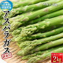 【ふるさと納税】 【先行予約】 【訳あり】 朝採れ新鮮アスパラ 2kg （S～2Lサイズ混合） 野菜 北海道産 バーベキュー BBQ キャンプ 旬野菜 ワケあり わけあり アスパラガス 栄養満点 冷蔵発送 F21W-305