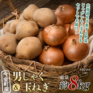 【ふるさと納税】【先行予約】 2種計約8kg!今金町産男しゃく約4kg・今金町産玉ねぎ約4kg 北海道産 男爵 じゃがいも ジャガイモ ほくほく しっとり たまねぎ 玉ねぎ 野菜 常備野菜 セット 詰め合わせ F21W-397