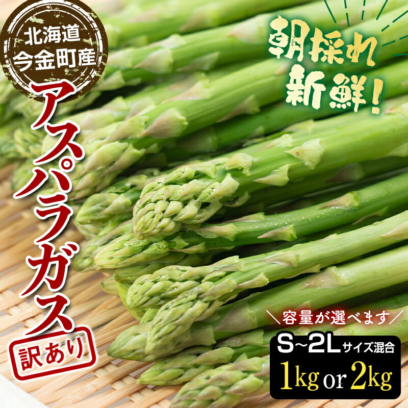 [先行予約] [訳あり] [選べる容量] 朝採れ新鮮アスパラ 1kg・2kg (S〜2Lサイズ混合) 野菜 北海道産 バーベキュー BBQ キャンプ 旬野菜 ワケあり わけあり アスパラガス 栄養満点 冷蔵発送 F21W-304var