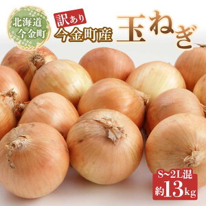 【ふるさと納税】【先行予約】【訳あり】今金町産玉ねぎ13kg(S~2Lサイズ混合) 北海道 玉ねぎ 玉葱 たまねぎ 北海道産 不揃い 訳あり 大容量 野菜 常備野菜 F21W-398