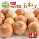【ふるさと納税】【先行予約】【訳あり】今金町産玉ねぎ8kg(S~2Lサイズ混合) 北海道 玉ねぎ 玉葱 たまねぎ 北海道産 不揃い 訳あり 大容量 野菜 常備野菜 F21W-496