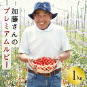 3位! 口コミ数「0件」評価「0」北海道産高糖度フルーツミニトマト　加藤さんのプレミアムルビー　1kg