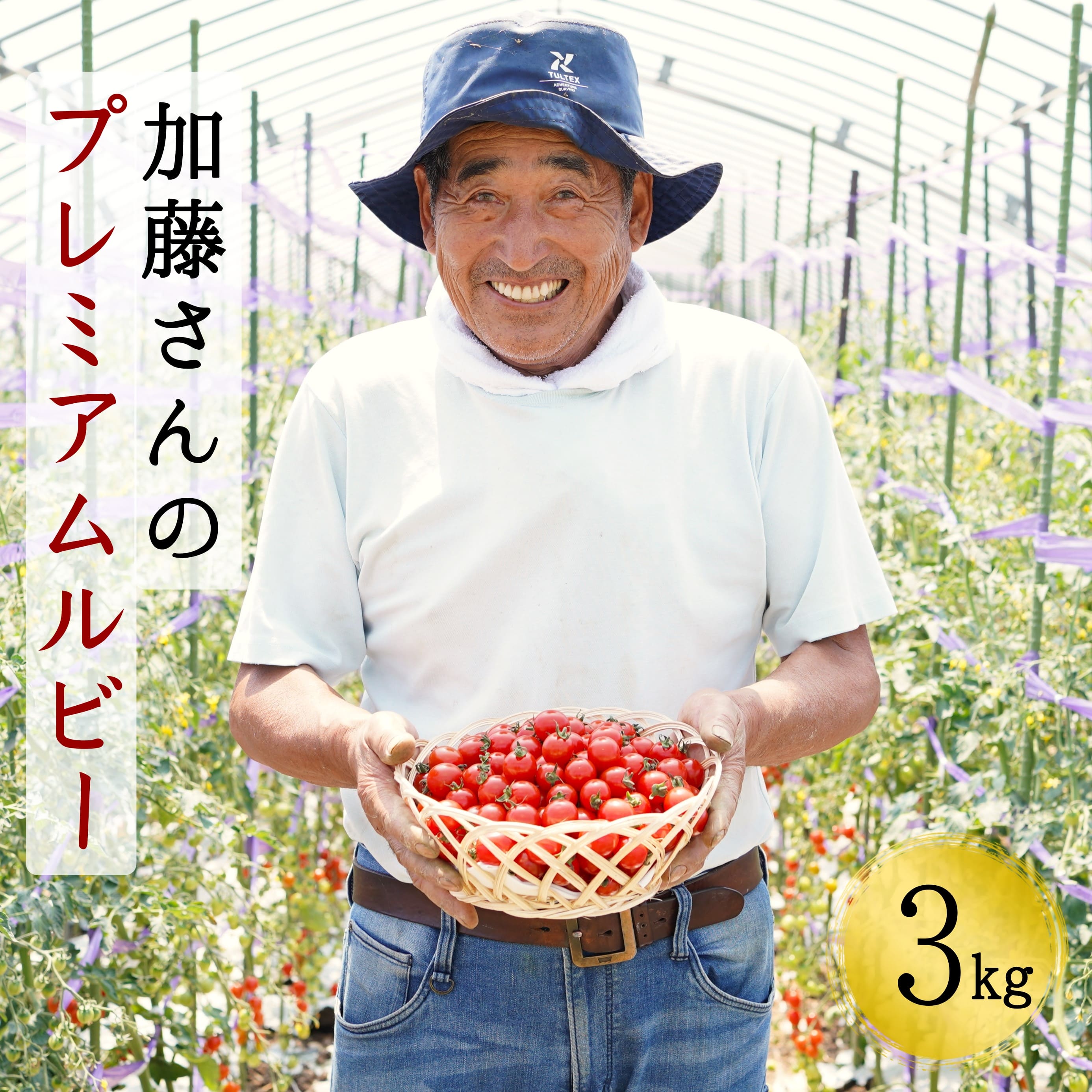 北海道産高糖度フルーツミニトマト　加藤さんのプレミアムルビー　3kg