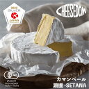 6位! 口コミ数「1件」評価「5」チーズダムの瀬棚-SETANA(カマンベールタイプ)　250g×2個【CHEESEDOMのチーズ】