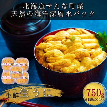 せたな町産　生鮮生うに(150g×5パック)　無添加　天然海洋深層水パック