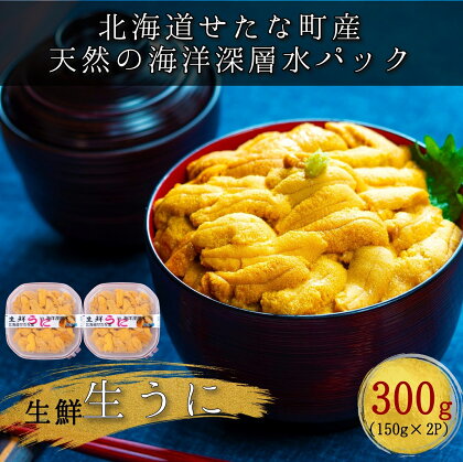 せたな町産　生鮮生うに(150g×2パック)　無添加　天然海洋深層水パック